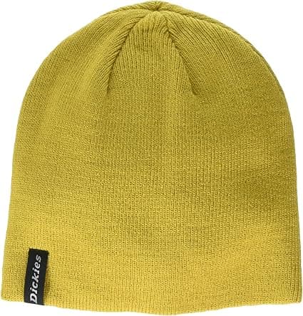 Dickies mens Skull Cap Beanie