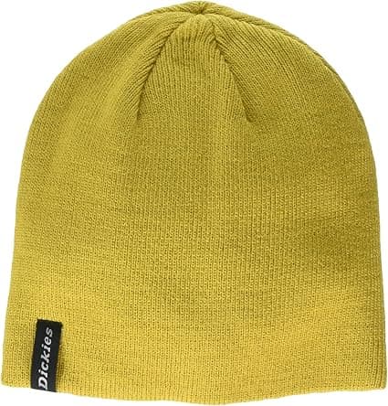 Dickies mens Skull Cap Beanie